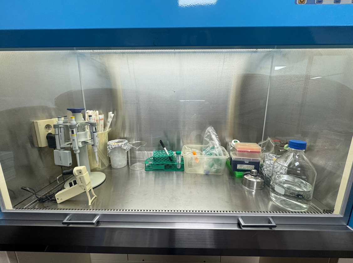 In vitro Laboratory
